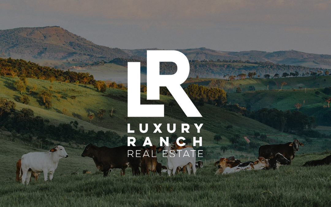 Luxury Ranch Real Estate – Real Estate Web Design
