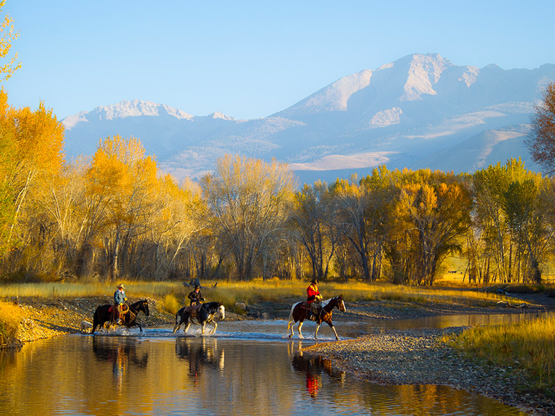 luxury-ranch-real-estate-web-development